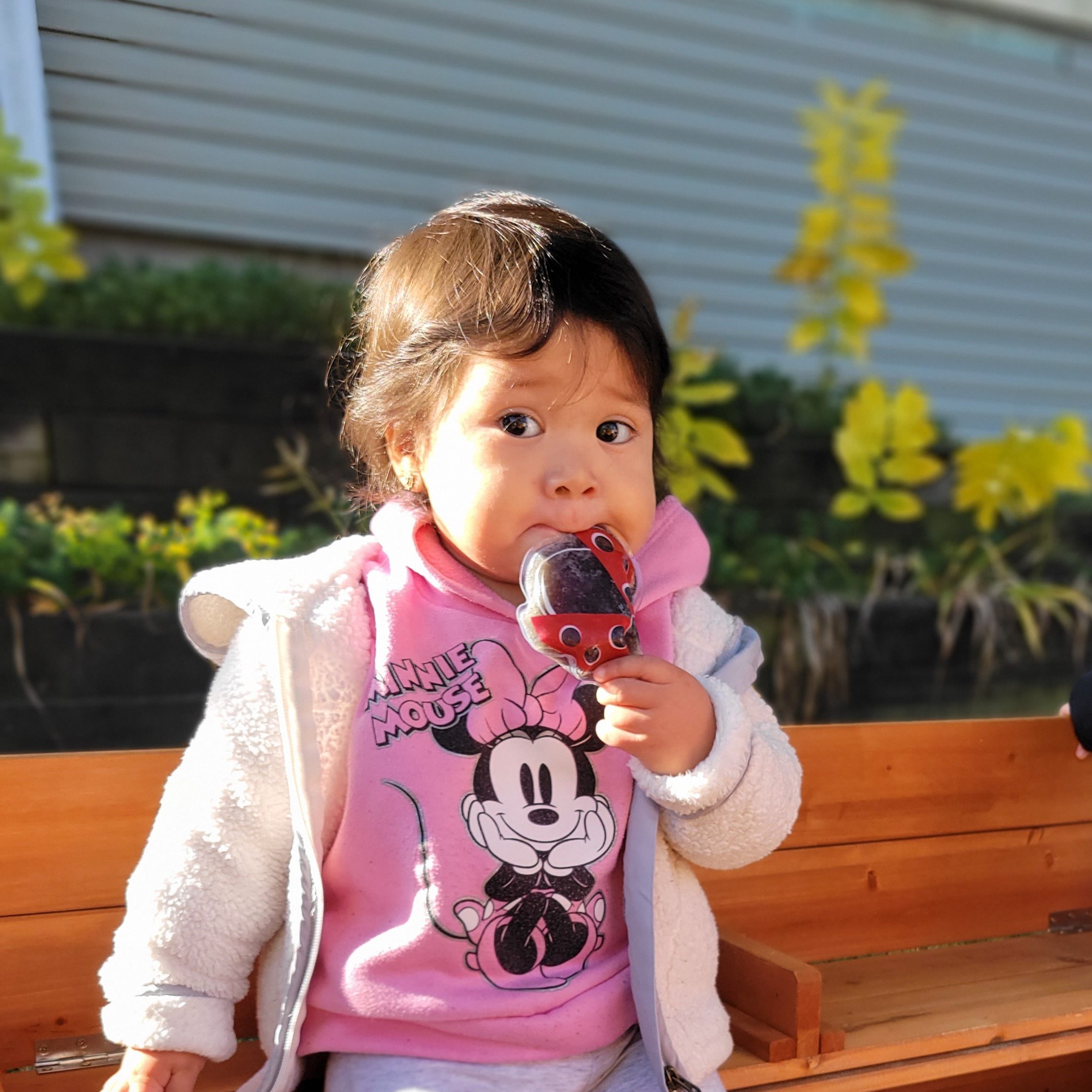 Infant/Toddler Program